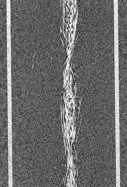 (b)CF紡績糸の側面CT画像