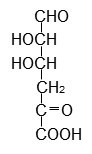 図3　アルギン酸から酵素分解によって得られる単糖(DEH)
