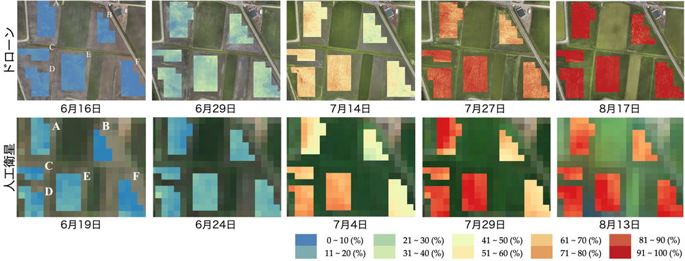 図2　水田の観測におけるドローンと人工衛星との比較
