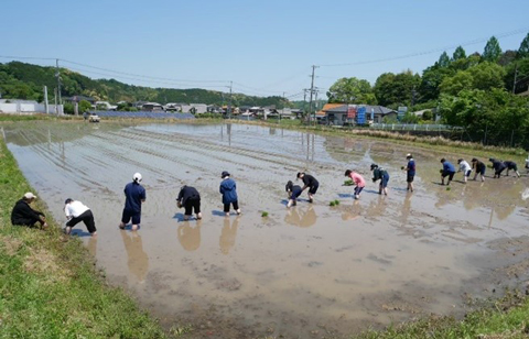 田植え(R6.5.4)