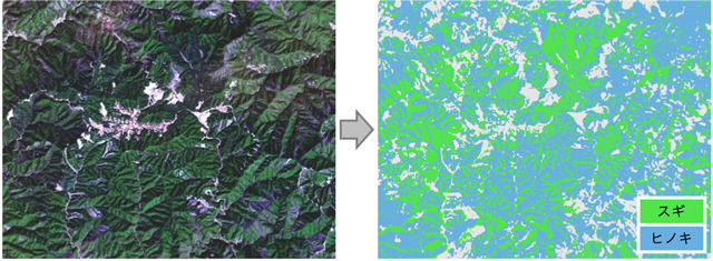 図1 衛星データによる森林の解析