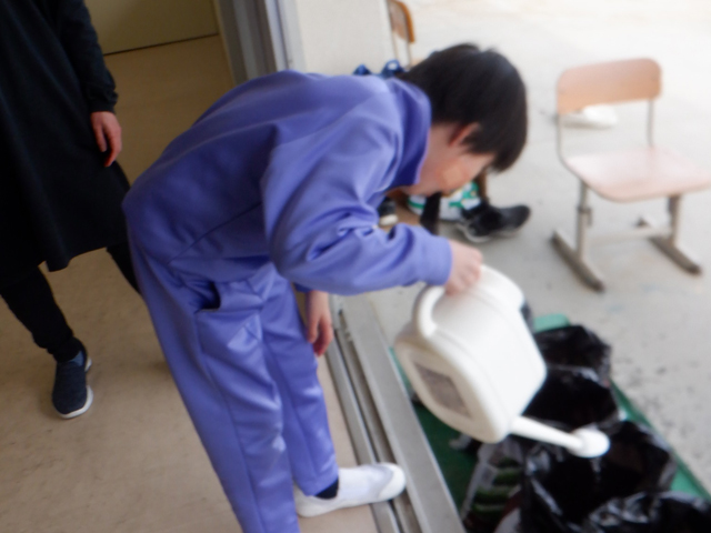 ジャガイモ栽培(R7.4.18)